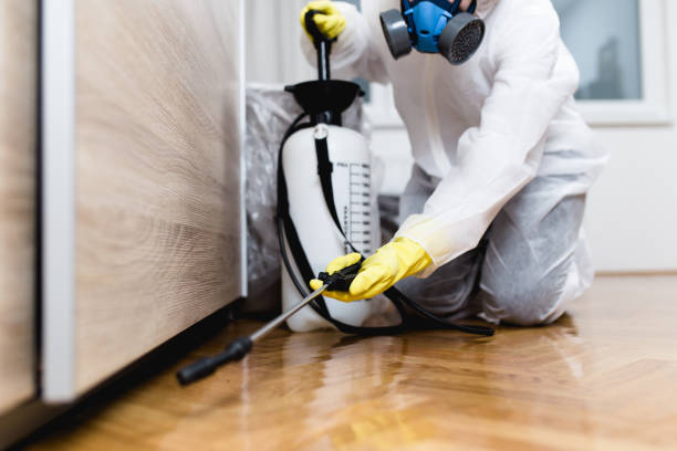 Best Bed Bug Extermination  in Burkburnett, TX