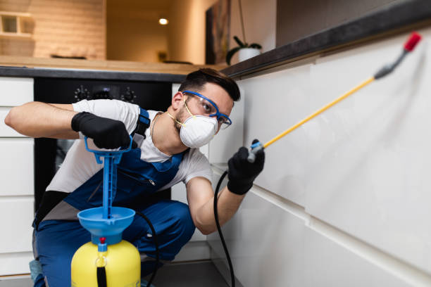 Best Cockroach Control Services  in Burkburnett, TX