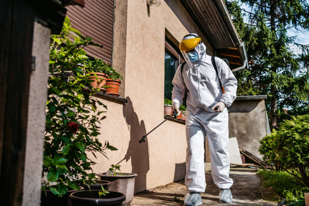 Best Local Pest Control Services  in Burkburnett, TX