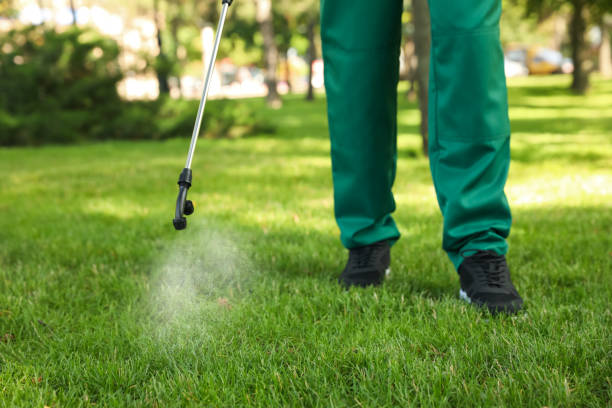 Best Affordable Exterminators  in Burkburnett, TX