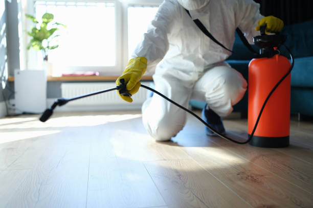 Best Mosquito Control Services  in Burkburnett, TX