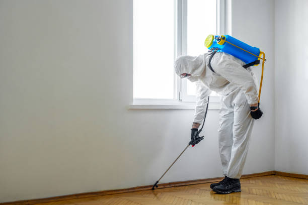 Best Flea Control Services  in Burkburnett, TX