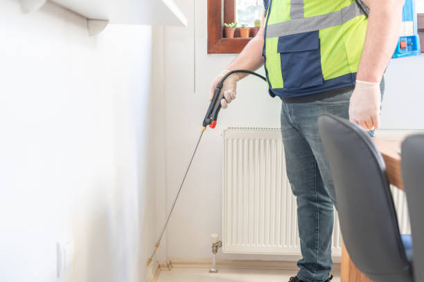 Best Emergency Pest Control  in Burkburnett, TX