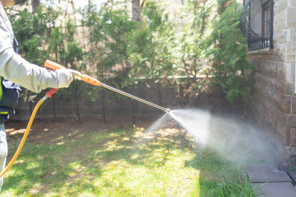 Best Affordable Pest Control Services  in Burkburnett, TX