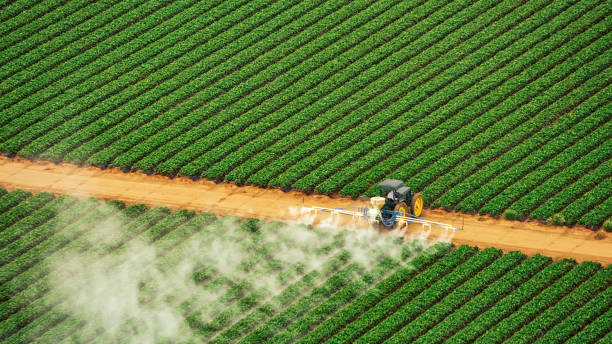 Best Best Pest Control Companies  in Burkburnett, TX