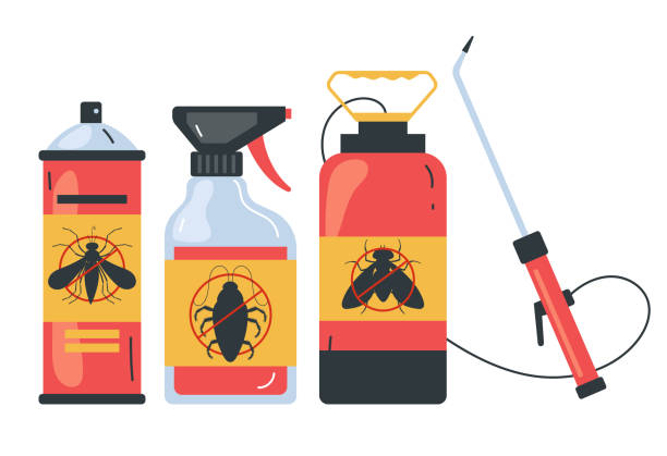 Best Pest Control Near Me  in Burkburnett, TX
