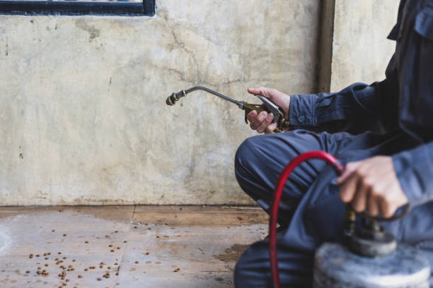 Best Best Pest Control Companies  in Burkburnett, TX